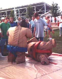 Sumo Wresting